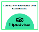 TripAdvisor award