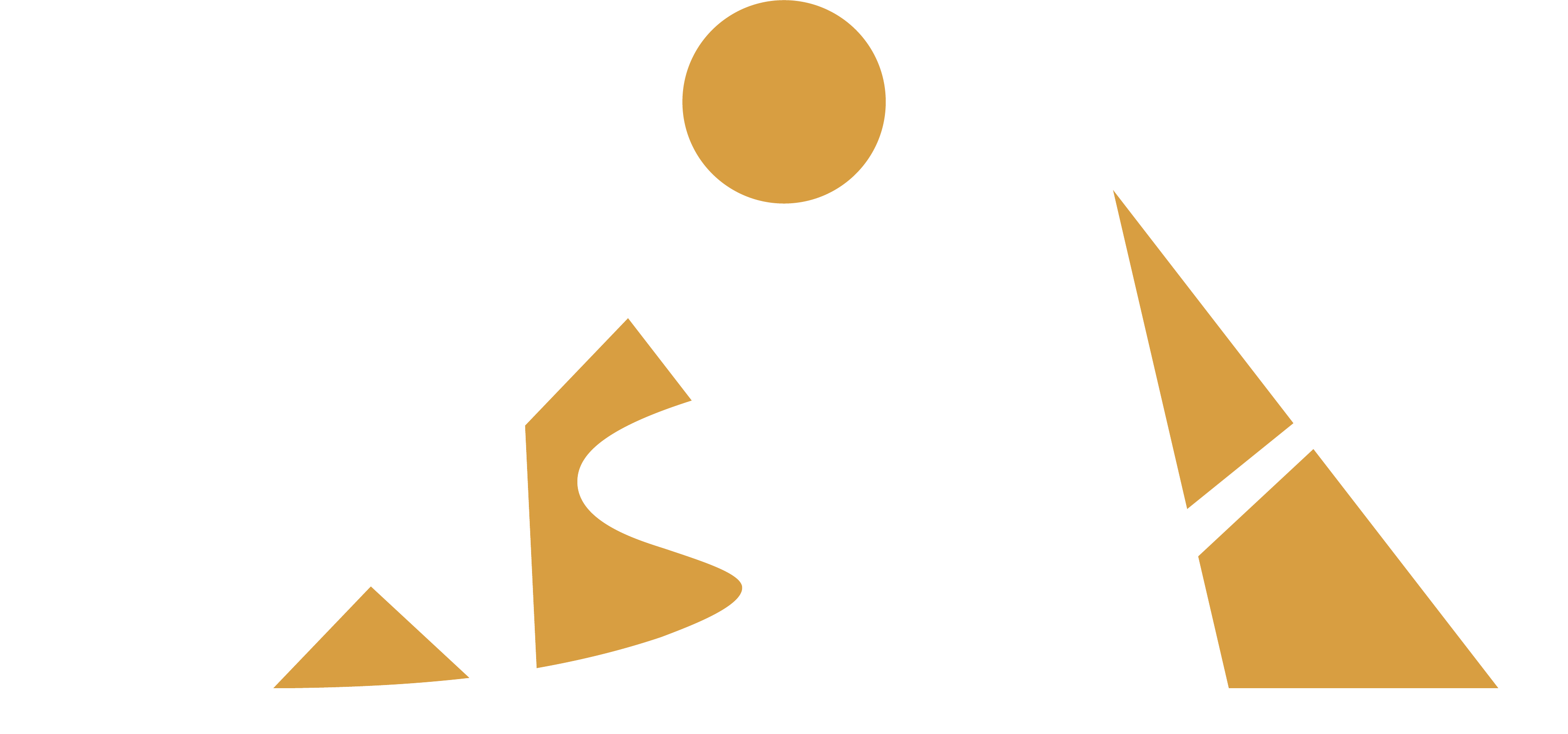 footer-bottom-logo